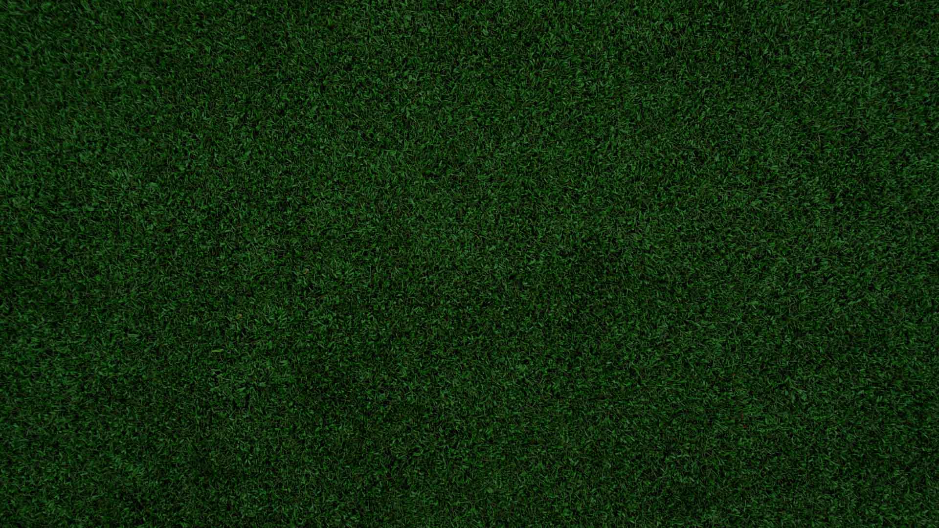 Dark Green grass field background